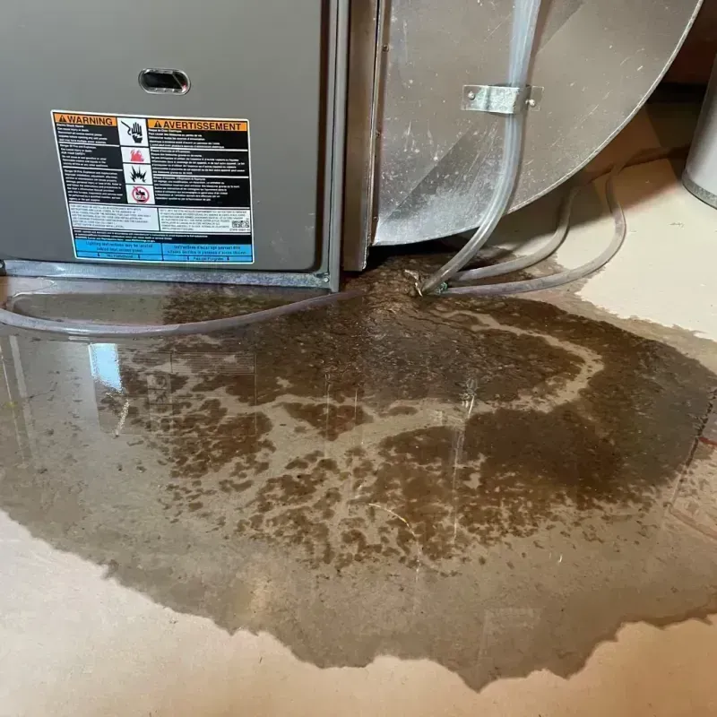 Appliance Leak Cleanup in Maple Park, IL